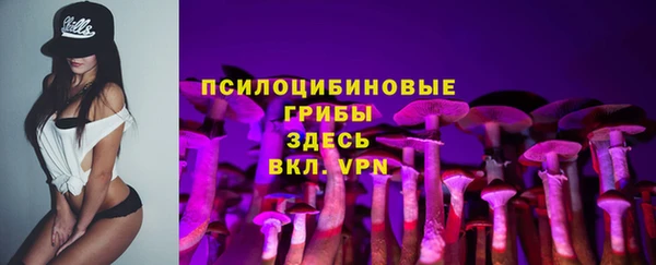 ALPHA PVP Заводоуковск