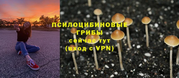 мефедрон Зеленодольск